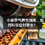 小寒节气养生指南，如何科学应对寒冬？（图3）