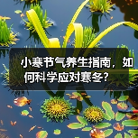 小寒节气养生指南，如何科学应对寒冬？（图1）