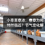 小寒寒意浓，春意为何悄然临近？节气变化解析（图4）