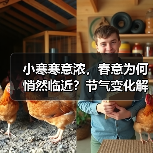 小寒寒意浓，春意为何悄然临近？节气变化解析（图2）