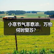 小寒节气寒意浓，万物何时复苏？（图2）