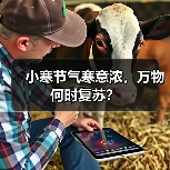 小寒节气寒意浓，万物何时复苏？（图1）
