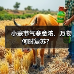小寒节气寒意浓，万物何时复苏？（图3）