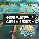 小寒节气如何养生？饮食调理与注意事项全解析（图1）