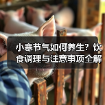 小寒节气如何养生？饮食调理与注意事项全解析（图3）
