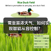 雪重雾浓天气，如何实现智能从容控制？（图4）