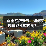 雪重雾浓天气，如何实现智能从容控制？（图2）