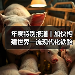 年度特别报道丨加快构建世界一流现代化铁路网(图3) 年度特别报道丨加快构建世界一流现代化铁路网(图3)
