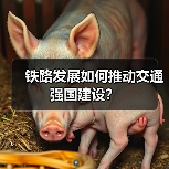 铁路发展如何推动交通强国建设?(图4) 铁路发展如何推动交通强国建设?(图4)