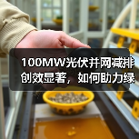 100MW光伏并网减排创效显著,如何助力绿色能源转型(图1) 100MW光伏并网减排创效显著,如何助力绿色能源转型(图1)