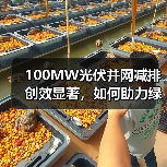 100MW光伏并网减排创效显著,如何助力绿色能源转型(图4) 100MW光伏并网减排创效显著,如何助力绿色能源转型(图4)