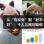 从“有没有”到“好不好”:十五五规划如何提升民生质量?(图3) 从“有没有”到“好不好”:十五五规划如何提升民生质量?(图3)