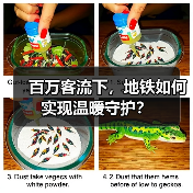 百万客流下,地铁如何实现温暖守护?(图1) 百万客流下,地铁如何实现温暖守护?(图1)