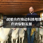 战略合作推动科技与绿色转型新发展（图4）