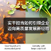 实干担当如何引领企业迈向高质量发展新征程?(图3) 实干担当如何引领企业迈向高质量发展新征程?(图3)