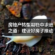 房地产转型期稳中求进之道:建设好房子推动行业高质量发展(图3) 房地产转型期稳中求进之道:建设好房子推动行业高质量发展(图3)