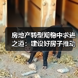 房地产转型期稳中求进之道:建设好房子推动行业高质量发展(图4) 房地产转型期稳中求进之道:建设好房子推动行业高质量发展(图4)