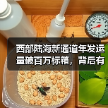 西部陆海新通道年发运量破百万标箱,背后有何增长密码?(图2) 西部陆海新通道年发运量破百万标箱,背后有何增长密码?(图2)