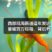西部陆海新通道年发运量破百万标箱,背后有何增长密码?(图3) 西部陆海新通道年发运量破百万标箱,背后有何增长密码?(图3)
