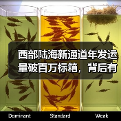 西部陆海新通道年发运量破百万标箱,背后有何增长密码?(图4) 西部陆海新通道年发运量破百万标箱,背后有何增长密码?(图4)