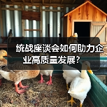 统战座谈会如何助力企业高质量发展?(图3) 统战座谈会如何助力企业高质量发展?(图3)