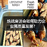 统战座谈会如何助力企业高质量发展?(图4) 统战座谈会如何助力企业高质量发展?(图4)