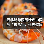 西北能源撑起绿色中国的“粮仓”：生态修复与科技革新（图1）