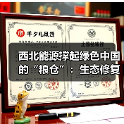 西北能源撑起绿色中国的“粮仓”：生态修复与科技革新（图3）