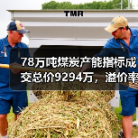 78万吨煤炭产能指标成交总价9294万,溢价率超73%(图2) 78万吨煤炭产能指标成交总价9294万,溢价率超73%(图2)