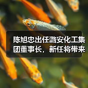 陈旭忠出任潞安化工集团董事长，新任将带来哪些影响？（图1）