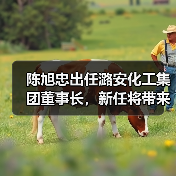 陈旭忠出任潞安化工集团董事长，新任将带来哪些影响？（图3）