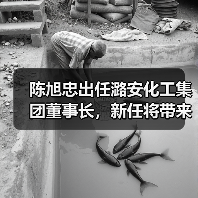 陈旭忠出任潞安化工集团董事长，新任将带来哪些影响？（图4）