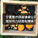 宁夏重点项目清单公开 煤炭电力项目有哪些？（图2）