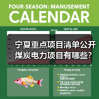 宁夏重点项目清单公开 煤炭电力项目有哪些？（图3）