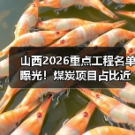 山西2026重点工程名单曝光!煤炭项目占比近四成,背后有何深意?(图1) 山西2026重点工程名单曝光!煤炭项目占比近四成,背后有何深意?(图1)