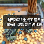 山西2026重点工程名单曝光!煤炭项目占比近四成,背后有何深意?(图3) 山西2026重点工程名单曝光!煤炭项目占比近四成,背后有何深意?(图3)