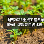 山西2026重点工程名单曝光!煤炭项目占比近四成,背后有何深意?(图4) 山西2026重点工程名单曝光!煤炭项目占比近四成,背后有何深意?(图4)