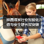 陕西煤炭行业智能化升级与安全增长双突破(图2) 陕西煤炭行业智能化升级与安全增长双突破(图2)