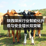 陕西煤炭行业智能化升级与安全增长双突破(图4) 陕西煤炭行业智能化升级与安全增长双突破(图4)