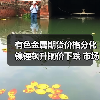 有色金属期货价格分化 镍锂飙升铜价下跌 市场走势解析（图2）