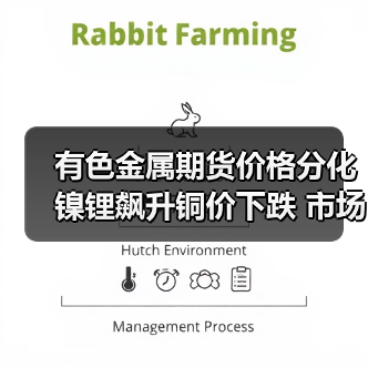有色金属期货价格分化 镍锂飙升铜价下跌 市场走势解析（图4）