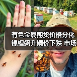有色金属期货价格分化 镍锂飙升铜价下跌 市场走势解析（图3）