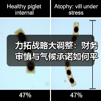 力拓战略大调整:财务审慎与气候承诺如何平衡?(图2) 力拓战略大调整:财务审慎与气候承诺如何平衡?(图2)