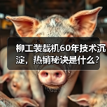 柳工装载机60年技术沉淀，热销秘诀是什么？（图2）