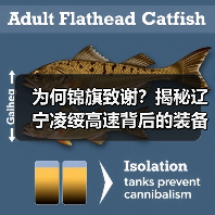 为何锦旗致谢?揭秘辽宁凌绥高速背后的装备力量(图3) 为何锦旗致谢?揭秘辽宁凌绥高速背后的装备力量(图3)