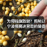 为何锦旗致谢?揭秘辽宁凌绥高速背后的装备力量(图4) 为何锦旗致谢?揭秘辽宁凌绥高速背后的装备力量(图4)