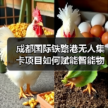 成都国际铁路港无人集卡项目如何赋能智能物流升级（图4）