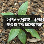 公路AA级首现!中建铁投多省工程斩获最高信用评价(图4) 公路AA级首现!中建铁投多省工程斩获最高信用评价(图4)