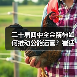 二十届四中全会精神如何推动公路运营?崔猛实地督导给出关键举措(图2) 二十届四中全会精神如何推动公路运营?崔猛实地督导给出关键举措(图2)