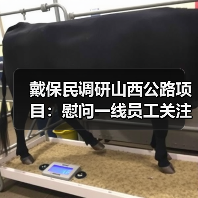 戴保民调研山西公路项目：慰问一线员工关注安全与新技术应用（图3）